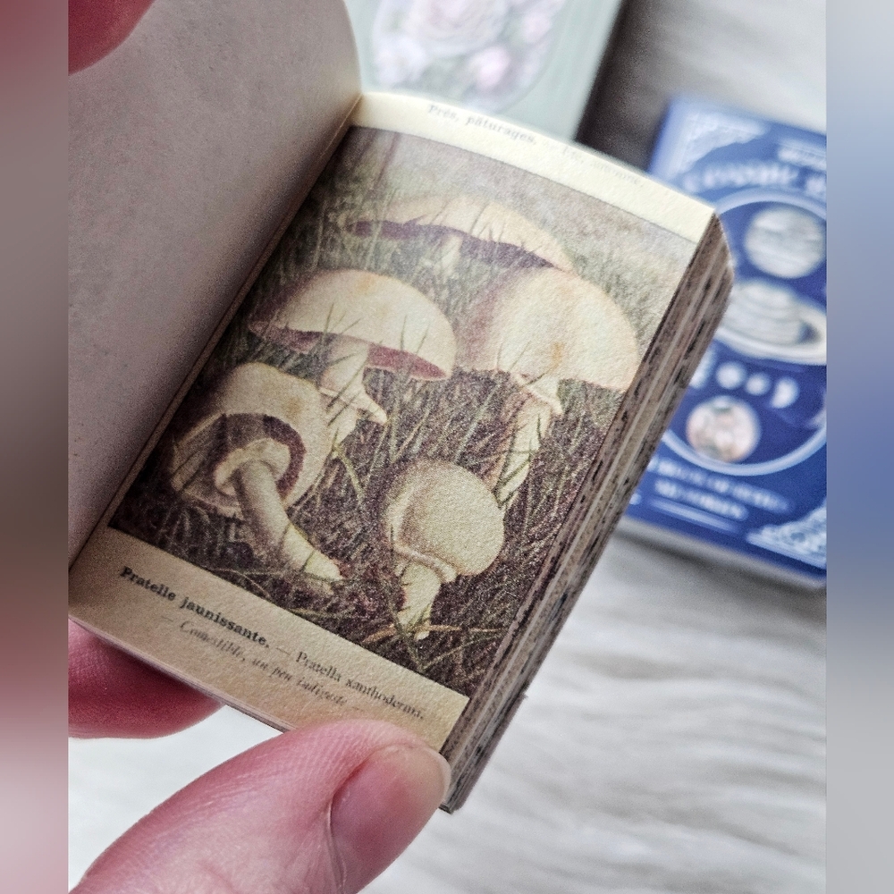 3 Mini Book Bundle - Picture 7 of 8